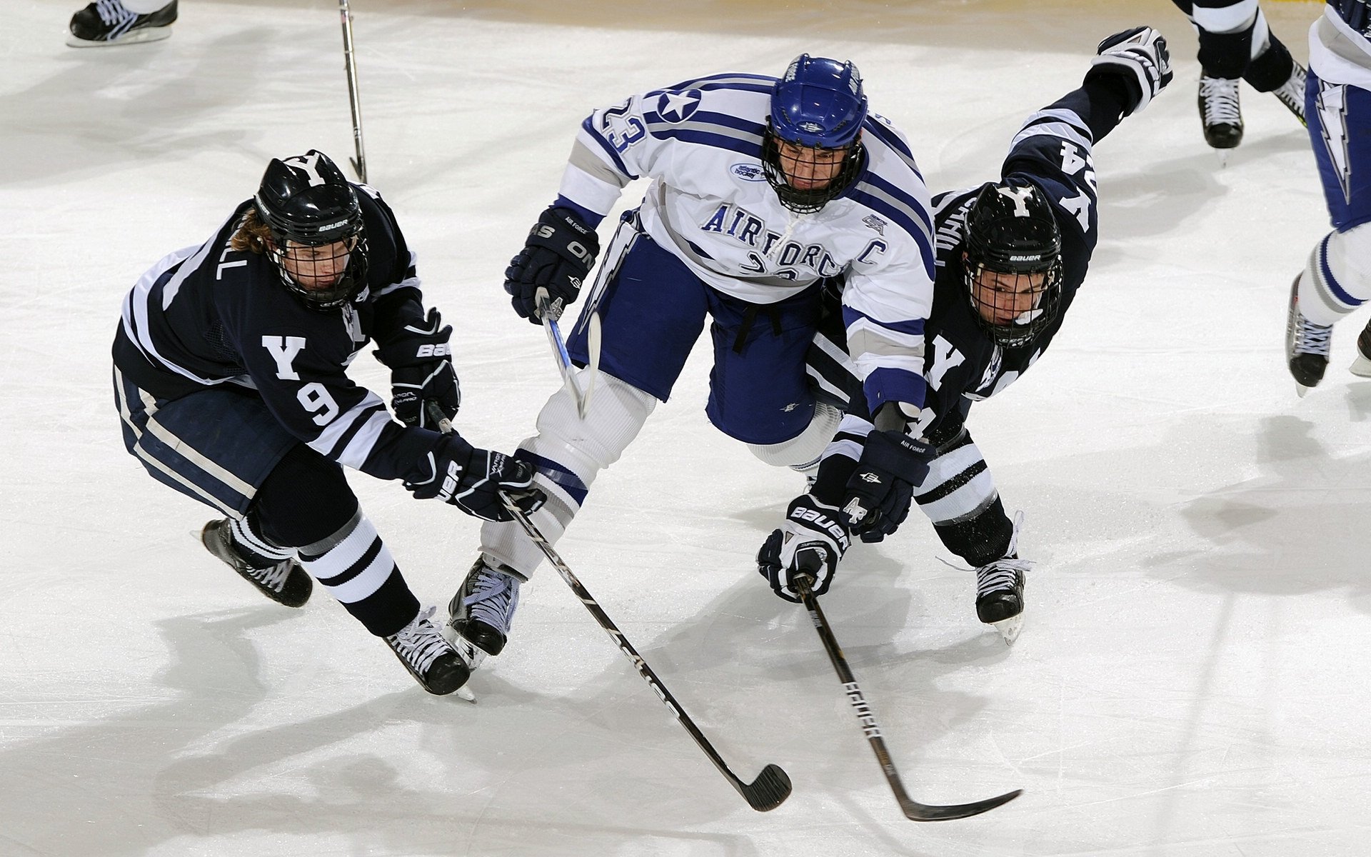 我才能为您生成标题。